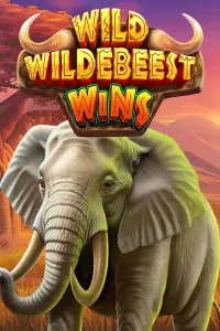 Wild Wildebeest Wins